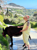 Donkey Walk in Frigiliana